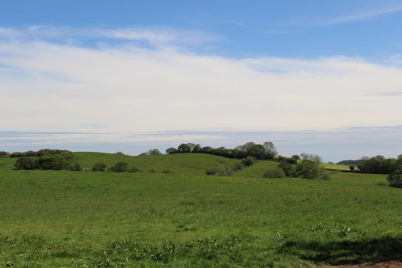 The Old Milking Parlour At Knapp Farm Дорчестър Екстериор снимка